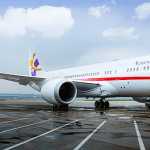 B787 DEER Jet