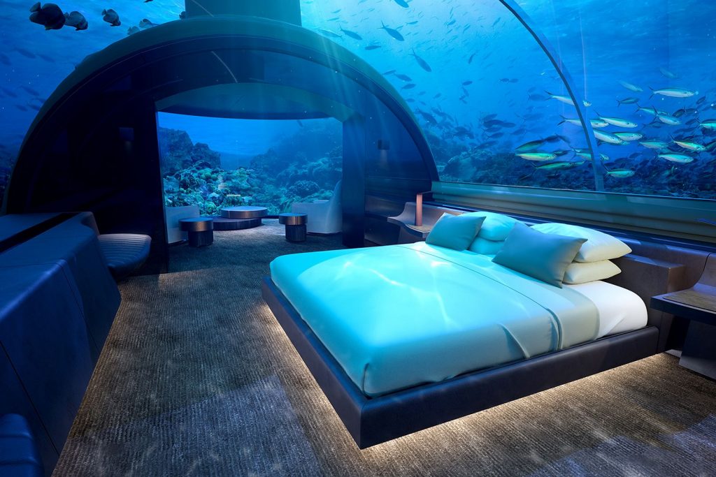 aquarium, poisson, eau, bleu vert, sous-marin, intérieur