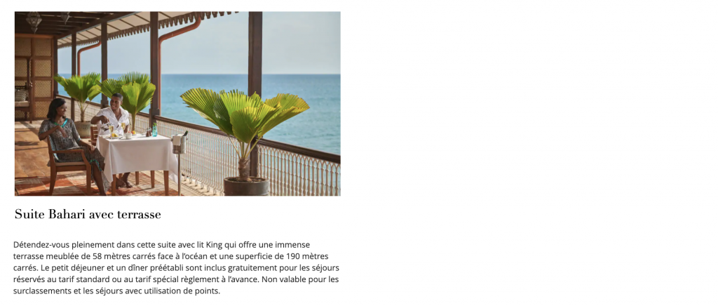 palmier, capture d’écran, plante, plante d’intérieur, pot de fleurs, plein air, plage, complexe touristique