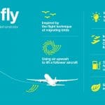 Infographic-fello-fly_0