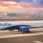 IndiGo1