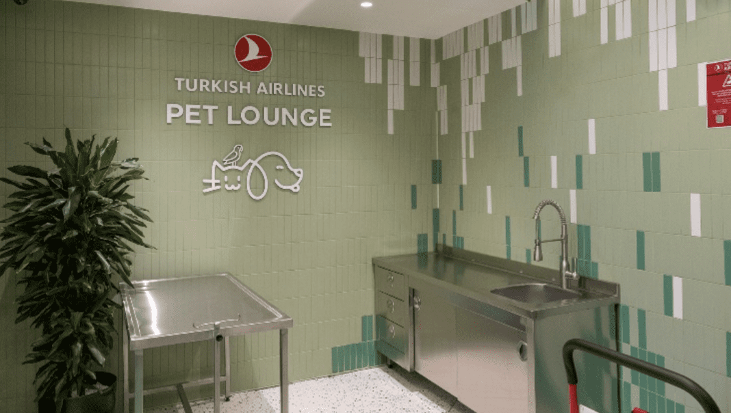 mur, intérieur, évier, décoration d’intérieur, robinet, plante d’intérieur, Comptoir, salle de bain, sol, vert, conception, plante, Turkish Airlines