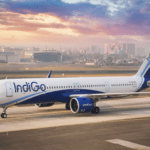 Indigo1